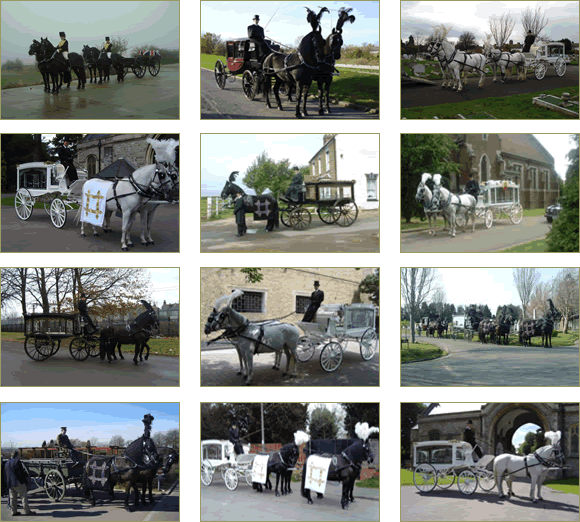 thumbnail images of hearses and horses in essex