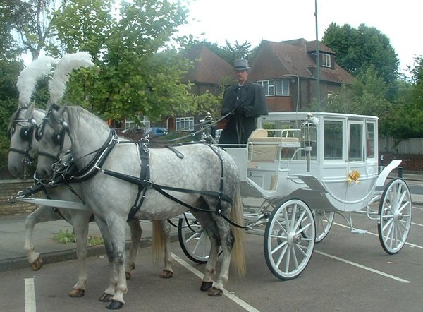 White Horsedrawn Asian Wedding Carriage